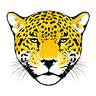 Jawai Safari leopard