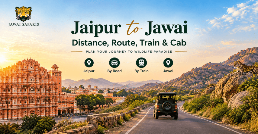 Jaipur to Jawai: Distance, Route, Train & Cab (2026)