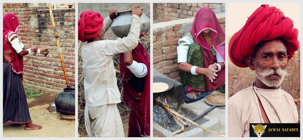 Jawai - village safari picture