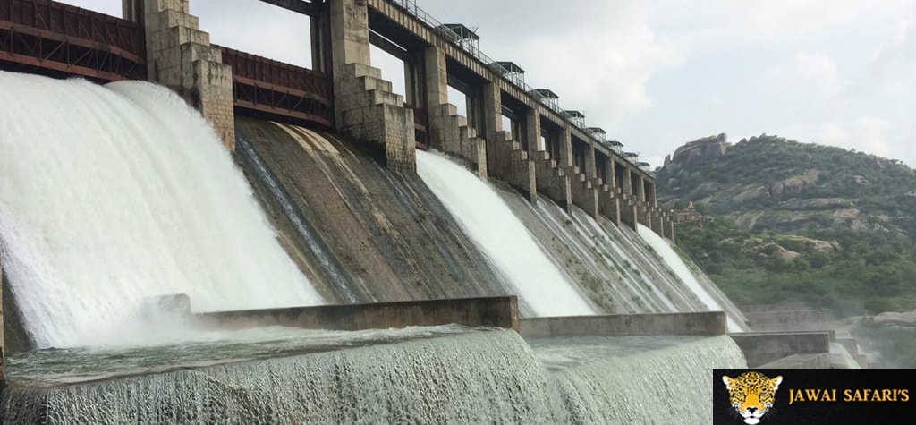 Jawai Dam picture